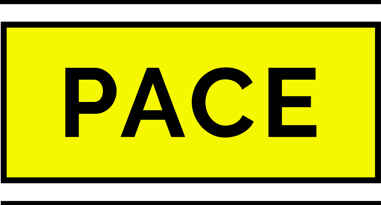 PACE Process & Controls India Pvt Ltd
